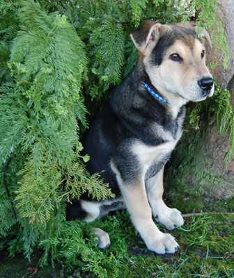 Timmy von Tavanne sitting